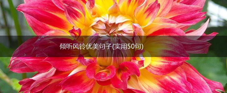 倾听风铃优美句子(实用50句),第1张