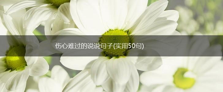 伤心难过的说说句子(实用50句),第1张
