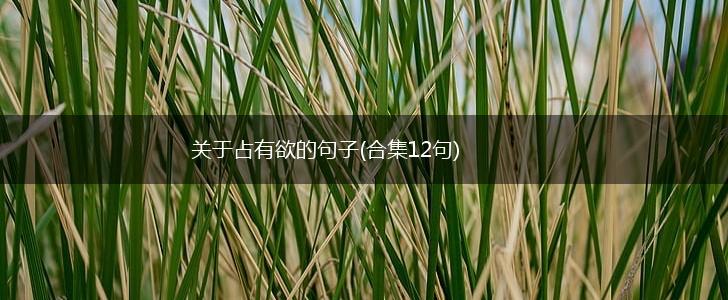 关于占有欲的句子(合集12句),第1张