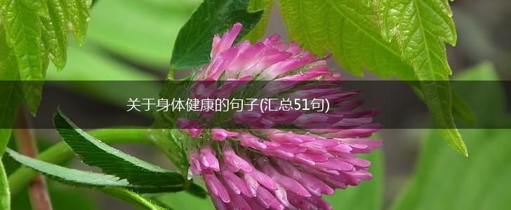 关于身体健康的句子(汇总51句),第1张