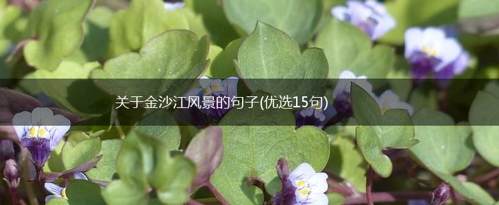 关于金沙江风景的句子(优选15句),第1张