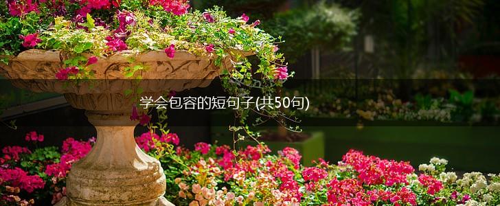 学会包容的短句子(共50句),第1张