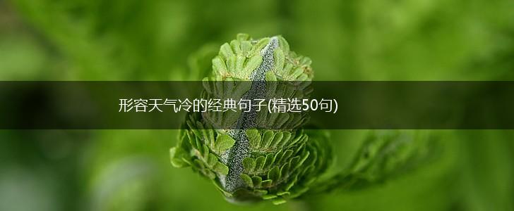 形容天气冷的经典句子(精选50句),第1张