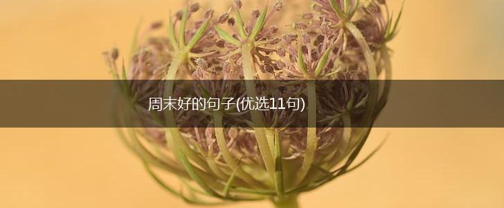 周末好的句子(优选11句),第1张
