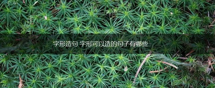 字形造句 字形可以造的句子有哪些,第1张