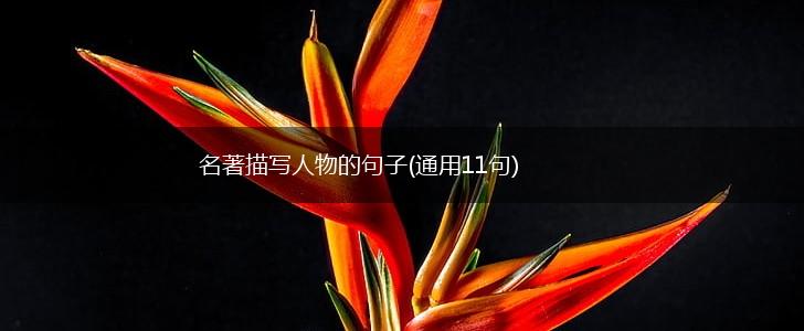 名著描写人物的句子(通用11句),第1张
