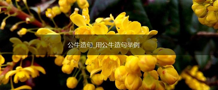 公牛造句_用公牛造句举例,第1张