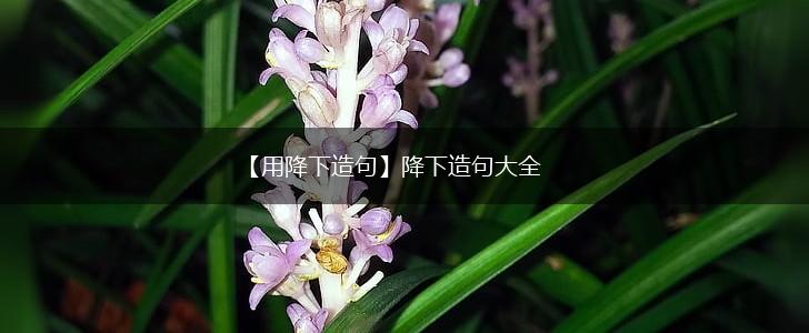 【用降下造句】降下造句大全,第1张