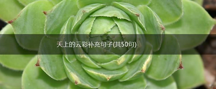 天上的云彩补充句子(共50句),第1张