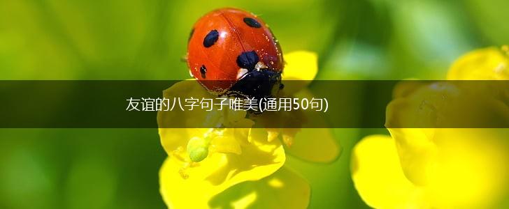 友谊的八字句子唯美(通用50句),第1张