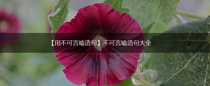 【用不可言喻造句】不可言喻造句大全,第1张