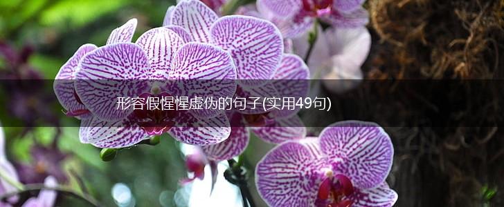 形容假惺惺虚伪的句子(实用49句),第1张