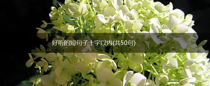 好听的短句子十字以内(共50句),第1张