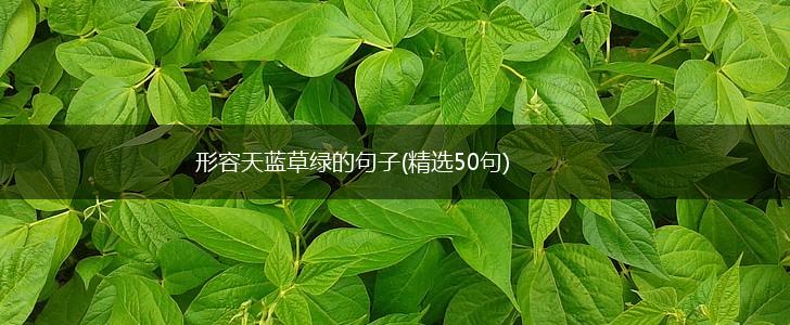 形容天蓝草绿的句子(精选50句),第1张