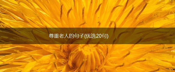 尊重老人的句子(优选20句),第1张
