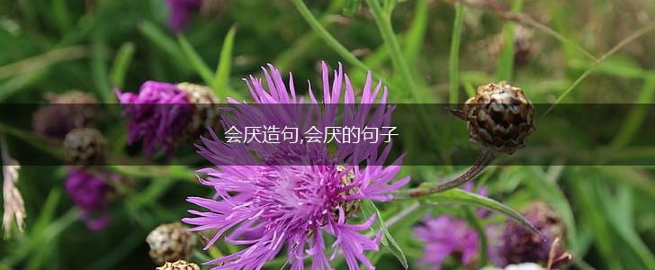 会厌造句,会厌的句子,第1张