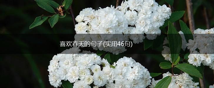 喜欢春天的句子(实用46句),第1张