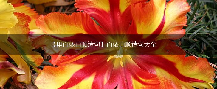 【用百依百顺造句】百依百顺造句大全,第1张