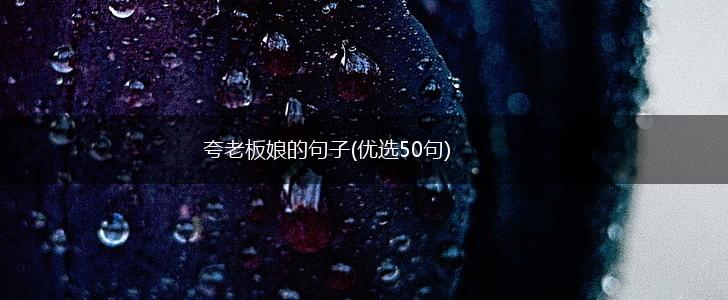夸老板娘的句子(优选50句),第1张