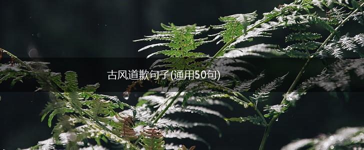 古风道歉句子(通用50句),第1张