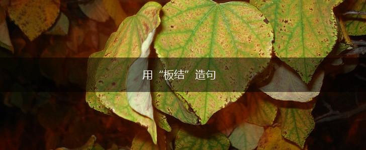 用“板结”造句,第1张