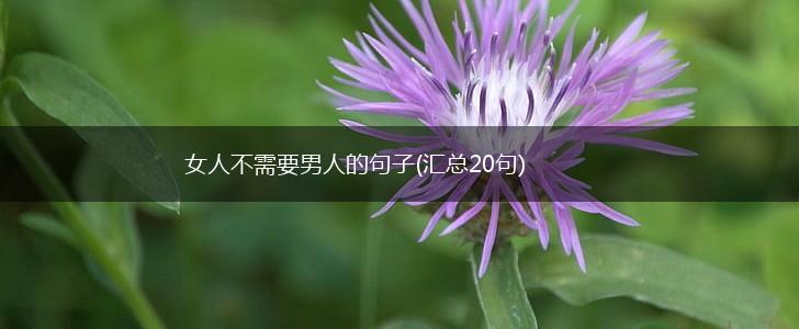 女人不需要男人的句子(汇总20句),第1张