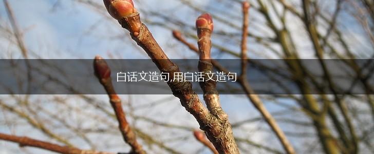 白话文造句,用白话文造句,第1张