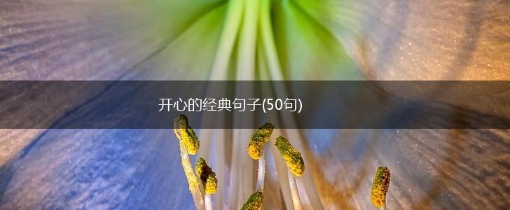 开心的经典句子(50句),第1张