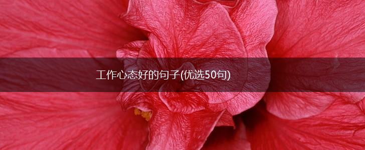 工作心态好的句子(优选50句),第1张