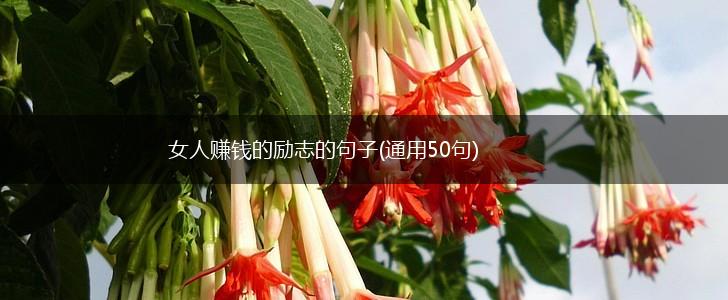 女人赚钱的励志的句子(通用50句),第1张