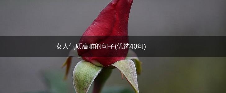 女人气质高雅的句子(优选40句),第1张