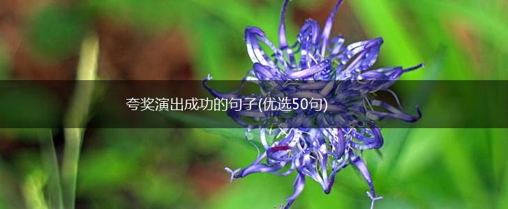 夸奖演出成功的句子(优选50句),第1张