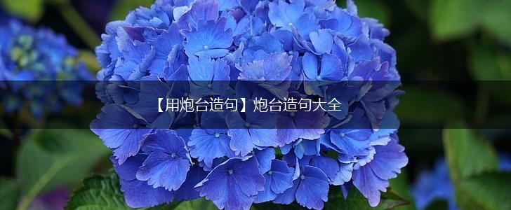 【用炮台造句】炮台造句大全,第1张