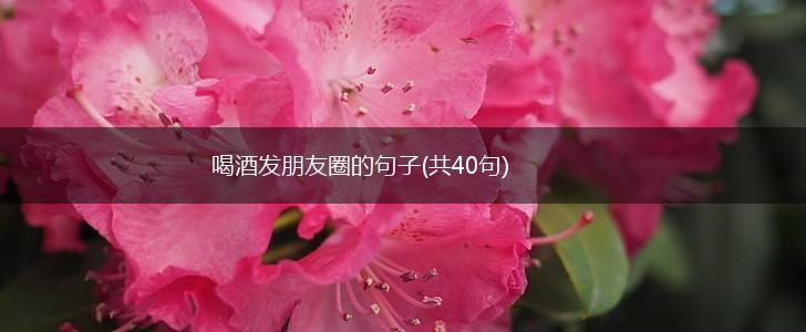 喝酒发朋友圈的句子(共40句),第1张