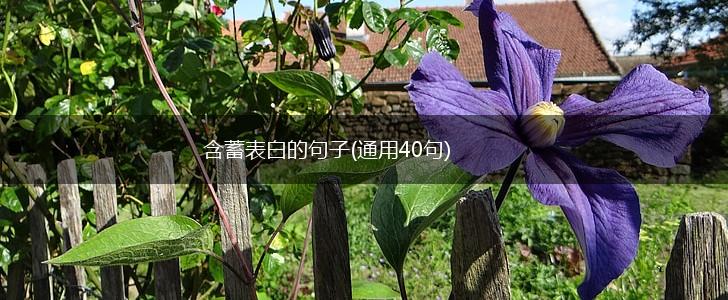 含蓄表白的句子(通用40句),第1张