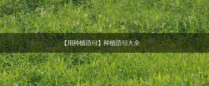 【用种植造句】种植造句大全,第1张