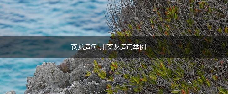 苍龙造句_用苍龙造句举例,第1张