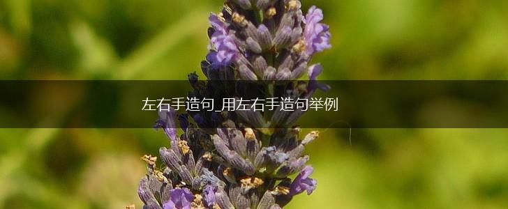 左右手造句_用左右手造句举例,第1张