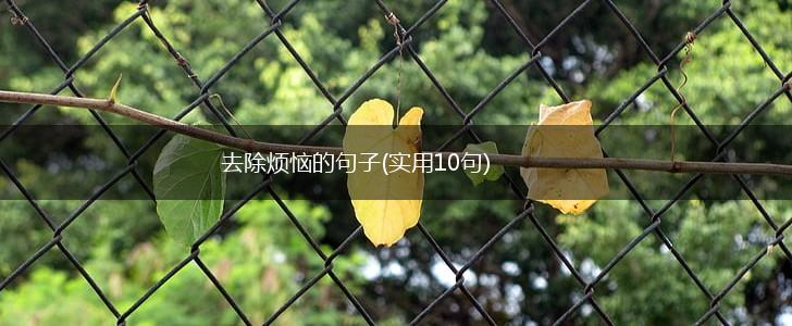 去除烦恼的句子(实用10句),第1张
