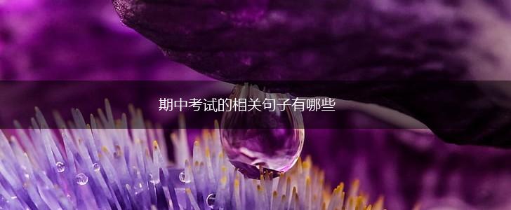 期中考试的相关句子有哪些,第1张