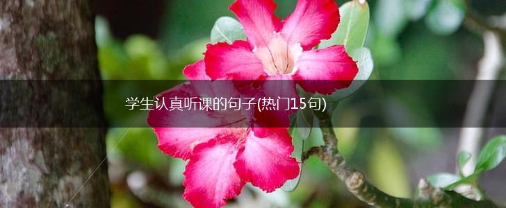 学生认真听课的句子(热门15句),第1张