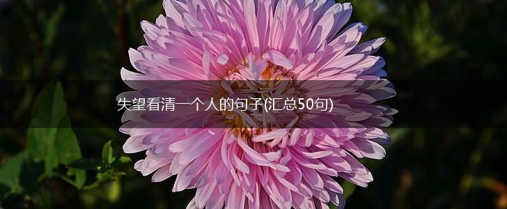 失望看清一个人的句子(汇总50句),第1张