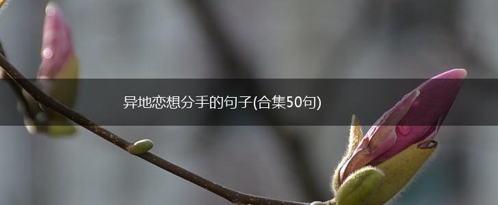 异地恋想分手的句子(合集50句),第1张