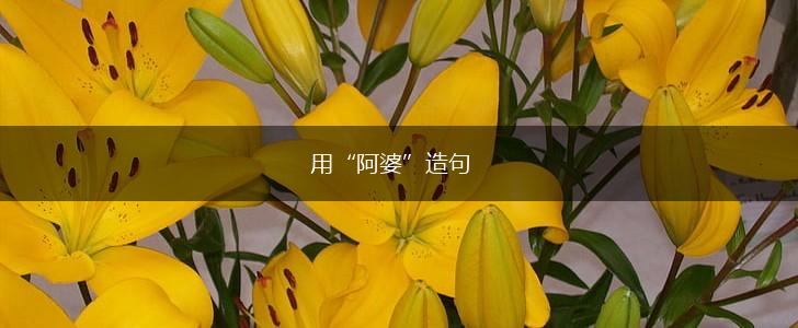 用“阿婆”造句,第1张
