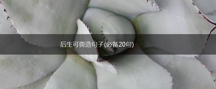 后生可畏造句子(必备20句),第1张