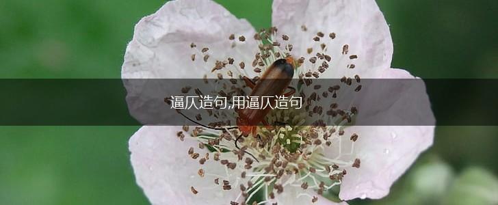 逼仄造句,用逼仄造句,第1张