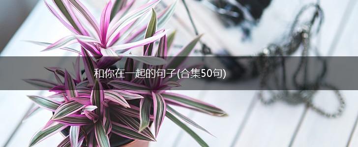 和你在一起的句子(合集50句),第1张