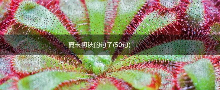 夏末初秋的句子(50句),第1张