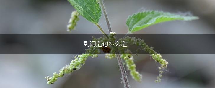 副词造句怎么造,第1张