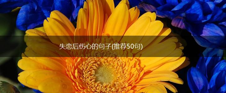 失恋后伤心的句子(推荐50句),第1张